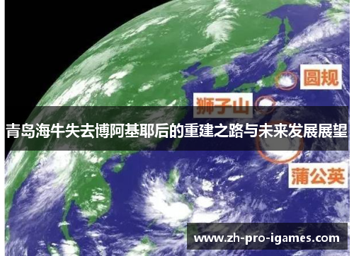青岛海牛失去博阿基耶后的重建之路与未来发展展望 青岛海牛失去博阿基耶后的重建之路与未来发展展望