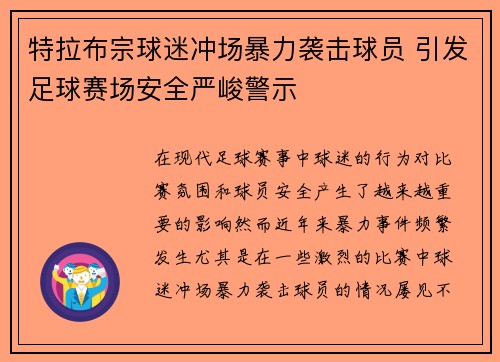 特拉布宗球迷冲场暴力袭击球员 引发足球赛场安全严峻警示